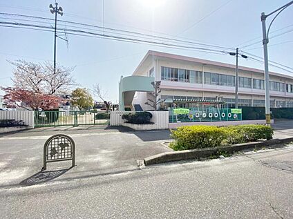 花ノ木保育園 500m