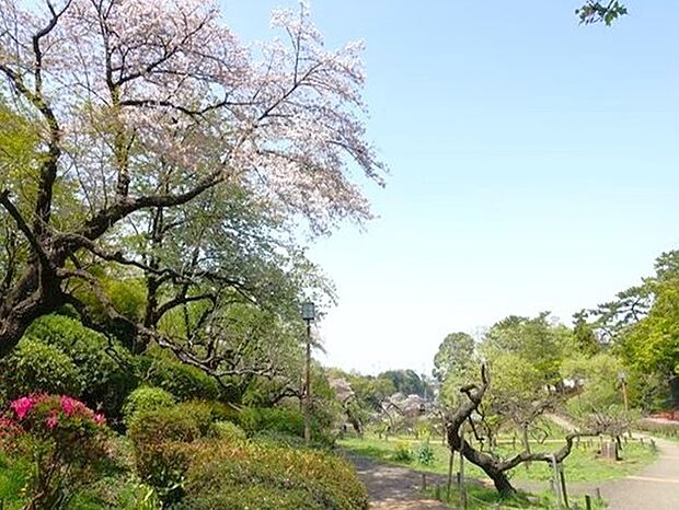 大倉山公園（約1,390m）