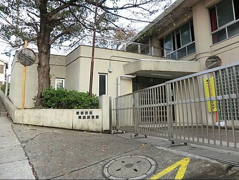 【学校】横浜市立菊名小学校