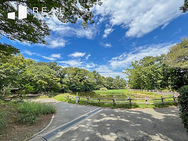 菊名池公園(約510m)