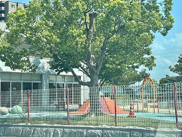 蓮池公園（約2,456m）