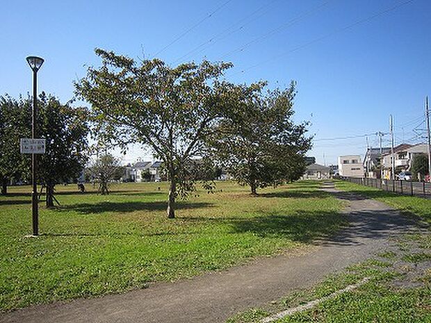 藤沢中央公園