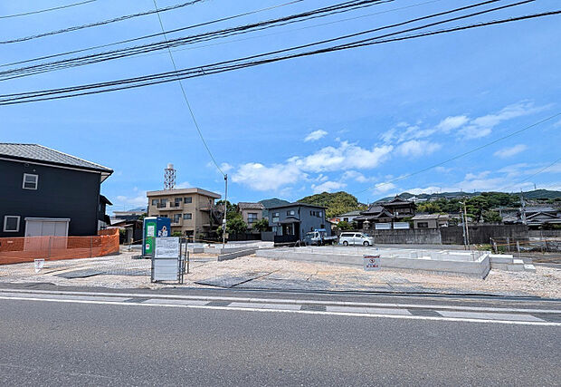 6月18日撮影　