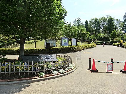 ぼうさいの丘公園 1000m(13分)