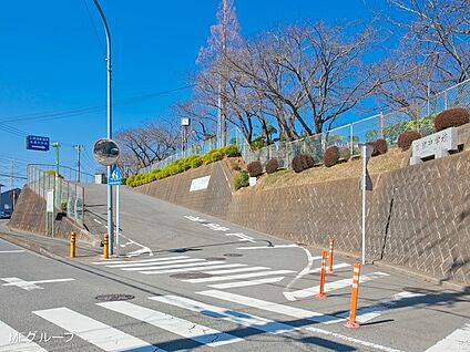 伊勢原市立成瀬中学校 2200m(28分)