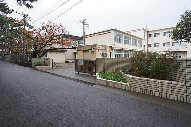小田原市立白鴎中学校(約310m・徒歩4分)