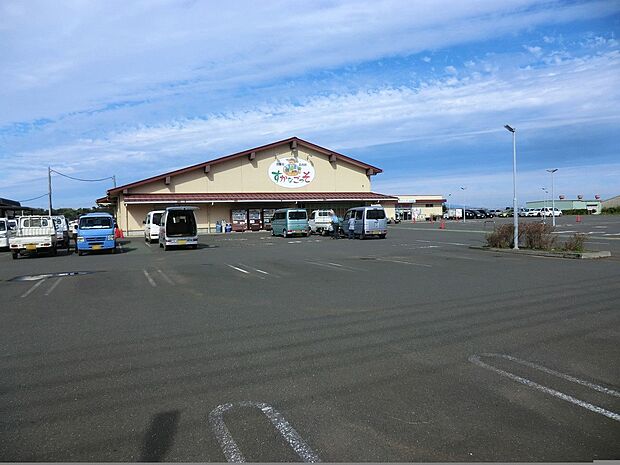 ＪＡよこすか葉山大型農産物直売所すかなごっそ（約663m・徒歩9分）