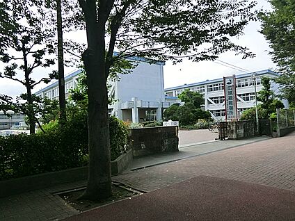 藤沢市立富士見台小学校 1600m(20分)