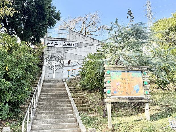 めぐみの丘幼稚園（約1,600m・徒歩20分）