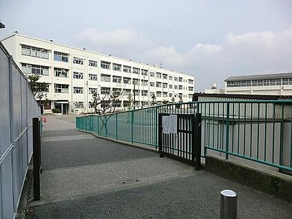 横浜市立笹野台小学校 300m(4分)
