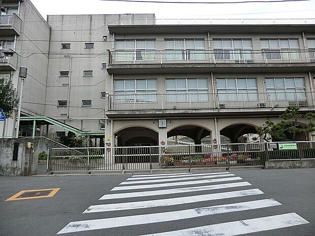 横浜市立老松中学校(約1,033m・徒歩13分)