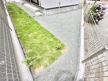 庭