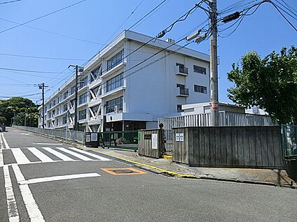 横須賀市立岩戸小学校 900m(12分)