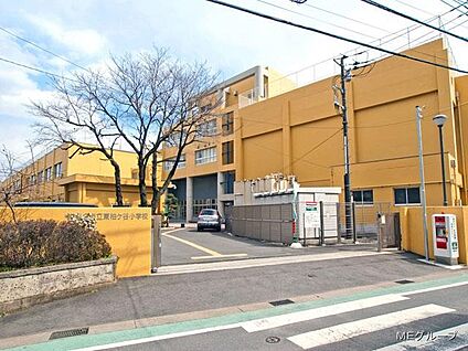 海老名市立東柏ケ谷小学校 230m(3分)