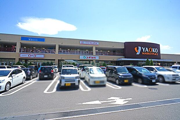 ヤオコー 秦野店（約650m・徒歩9分）