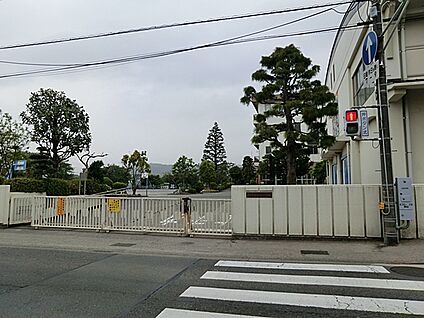 秦野市立西小学校 600m(8分)
