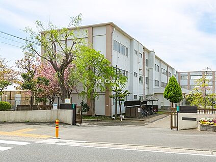 茅ヶ崎市立柳島小学校 1000m(13分)