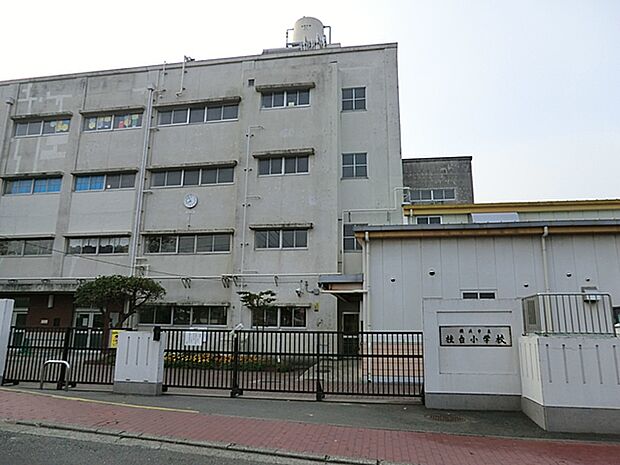 横浜市立桂台小学校（約240m・徒歩3分）