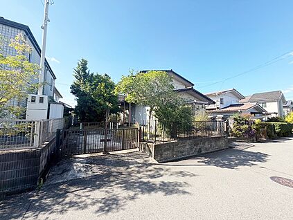 現地
