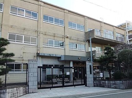 京都市立音羽川小学校 約413ｍ(徒歩6分)