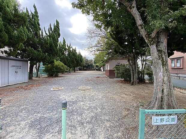 上野公園（約650m）