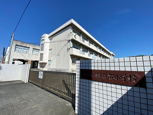 掛川市立 横須賀小学校（約1,200m）