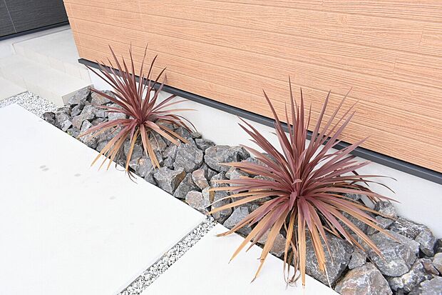 H号地 モデルハウス。
植栽