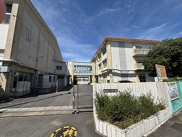 岐阜市立三里小学校(約1m)