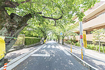 大阪府箕面市西小路３：物件画像