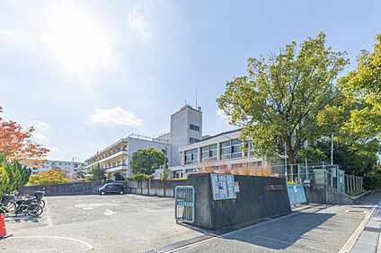 豊川南小学校 約350ｍ(徒歩５分)