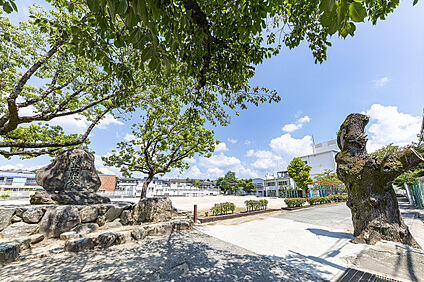 多田小学校 約1030ｍ(徒歩13分)