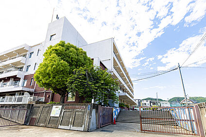 中小学校 約550ｍ(徒歩７分)