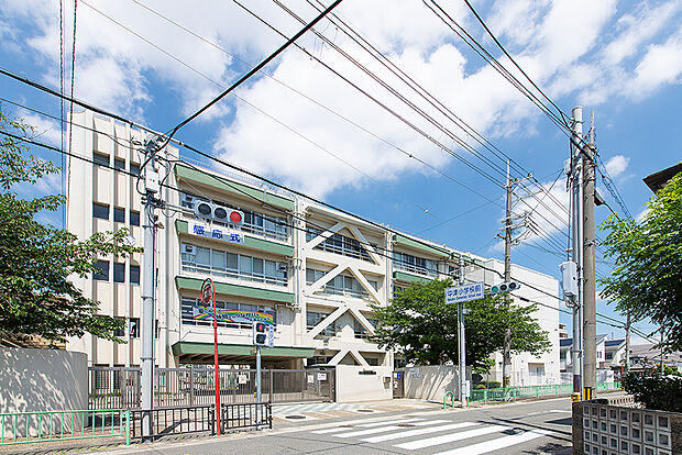 中津小学校