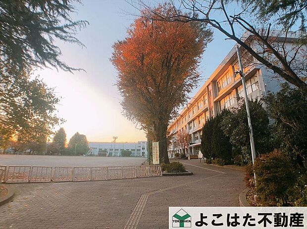 府中市立府中第二中学校（約420m）