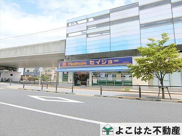 ヘルスケアセイジョー矢野口店(約1,100m)