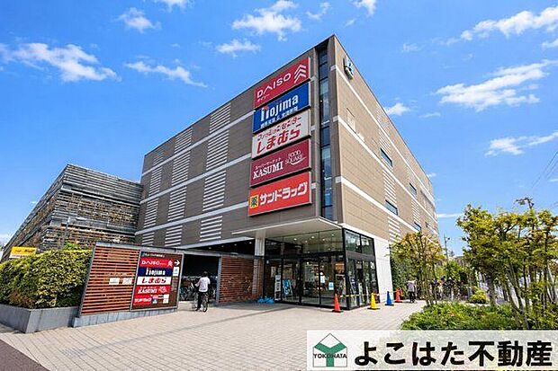 ダイソーヒューリック志村坂上店（約690m）