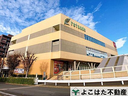 京王ストア稲城店 600m