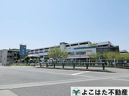 アメリア稲城ショッピングセンター 1160m