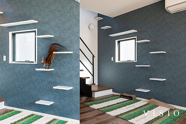 【住む家族に合わせた造作家具『キャットステップ』】VISIOはペットルームの設計も得意。大切な家族の事は何でもご相談ください。