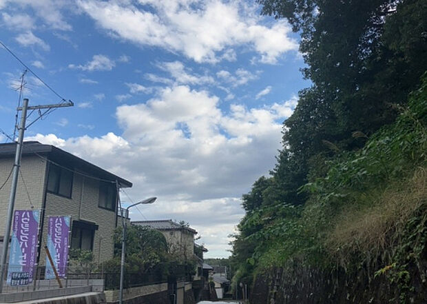 桜や紅葉の名所に出かける人は多いと思いますが、家にいながら季節の移ろいを感じる生活を送りませんか？リビングや窓から見える景色が生活を彩るワンポイントに！現地から見える景色を堪能してみては如何でしょう。