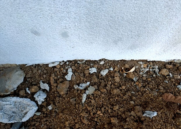 木造住宅とは土台、壁、柱など建築物の強度を支える構造体の材に木が使用されている構造を指します。構造体は建物の自重を支えるだけではなく風圧や水圧、積裁荷重などあらゆる衝撃に耐えるための基礎です。