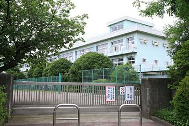 緑ヶ丘小学校(約1,323m)
