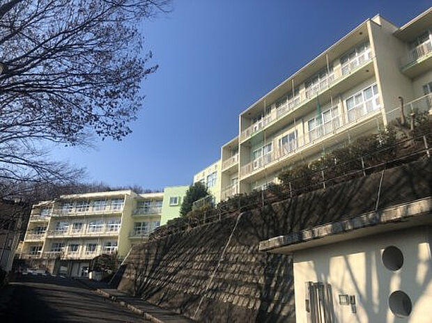 小宮小学校(約813m)