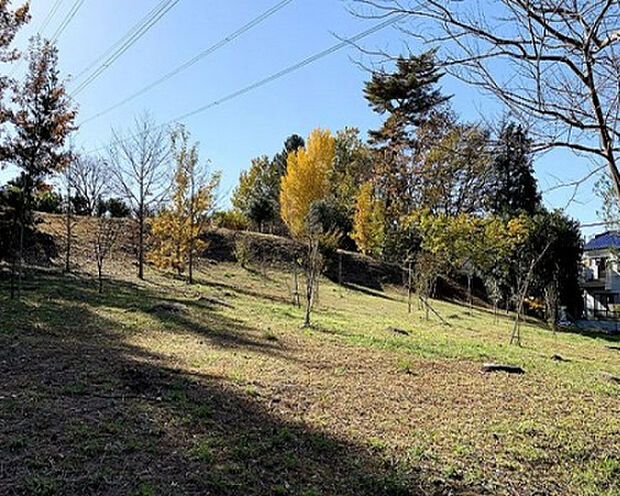 なずな原公園（約264m）