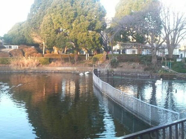 鹿沼公園(約636m)