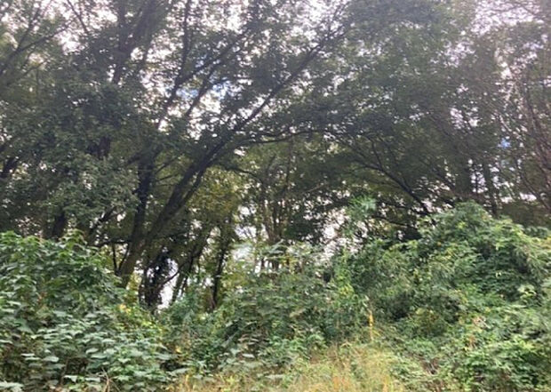 【物件からの展望_3】田園風景が味わえる土地に住みたい！海や山の見える自然豊かな土地に住みたい！などご要望に併せて当社営業がご提案させて頂きます。当社が抱えている数ある物件の中からお客様が納得する1件を一緒に探しましょう！