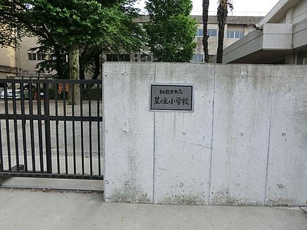 星が丘小学校（約553m）