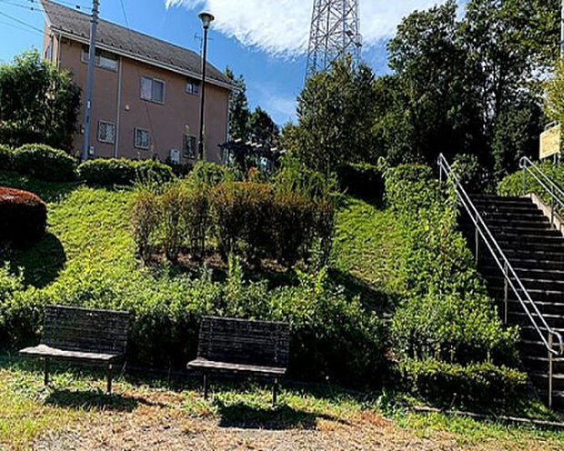 野津田山王あじさい公園（約283m）