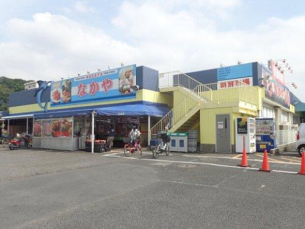 なかや入谷店（約1,598m）