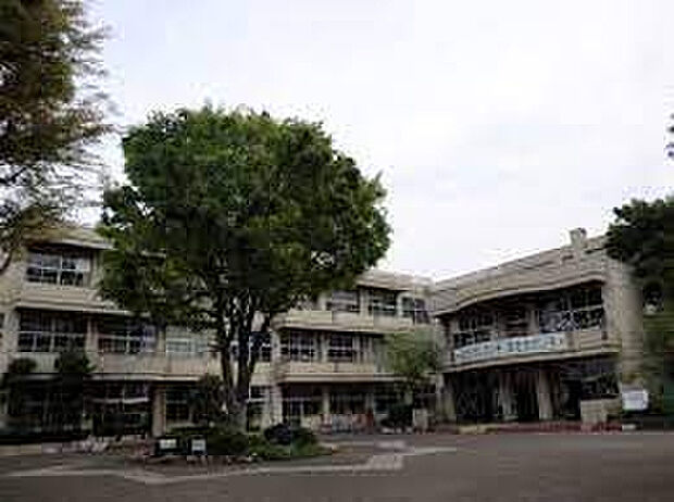 若松小学校（約479m）